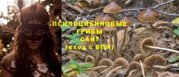 эйфоретик Заводоуковск