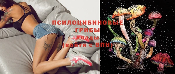 эйфоретик Заводоуковск